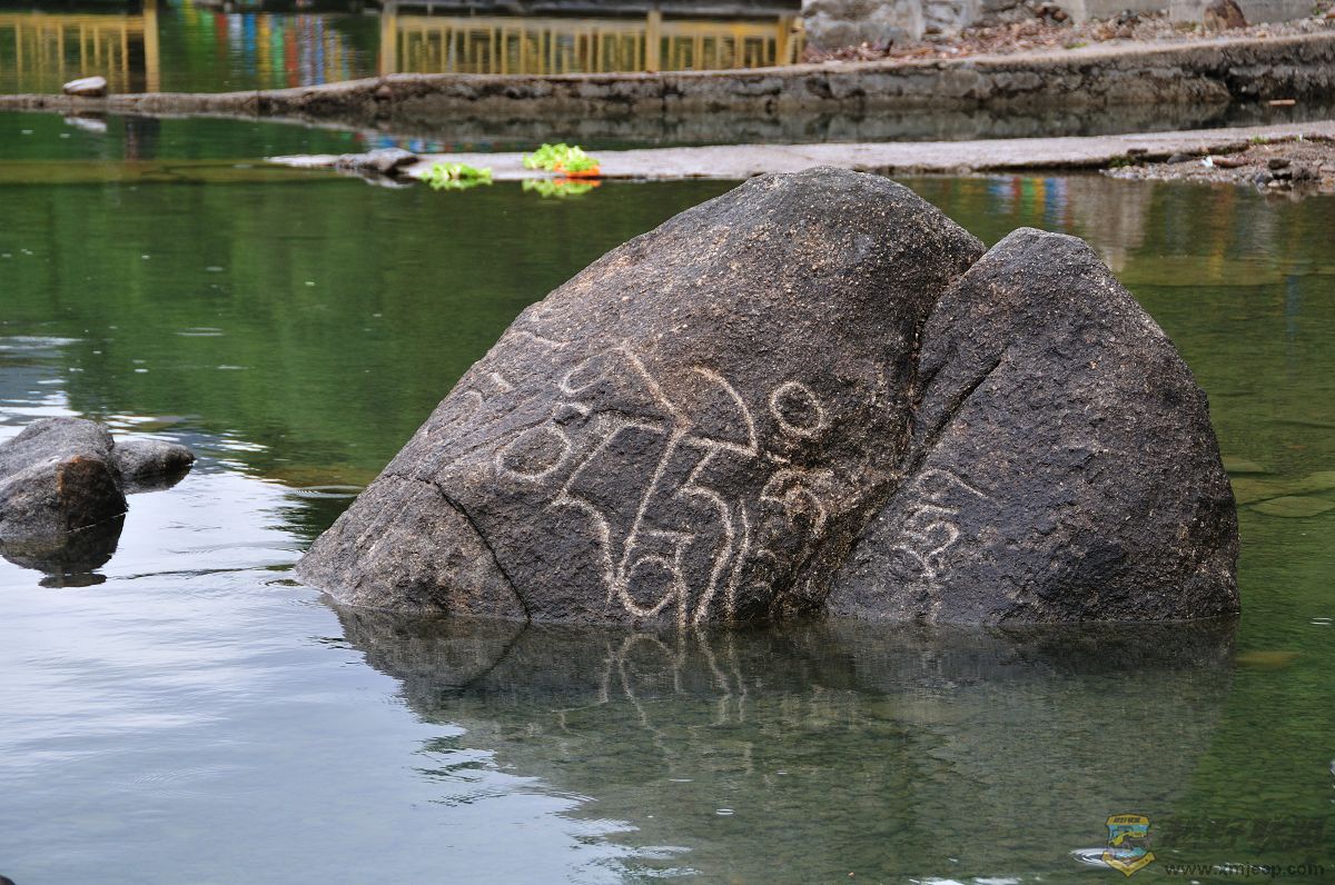 DSC_5812.jpg