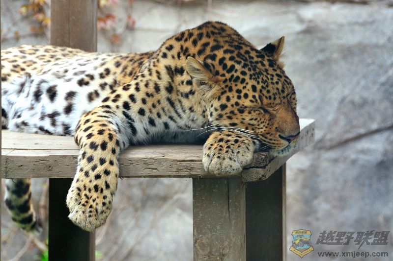DSC_3264.jpg