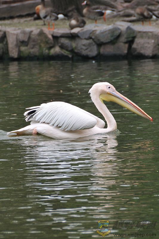 DSC_3312.jpg