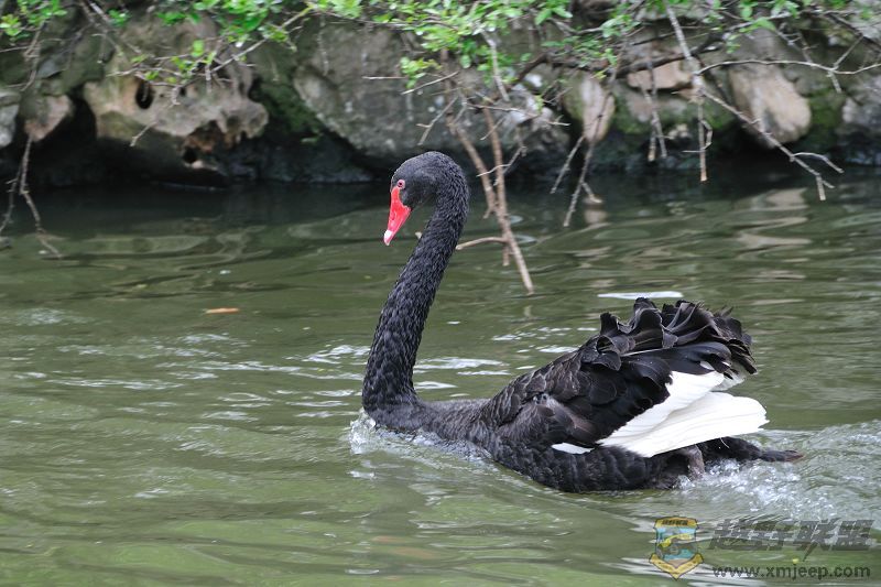 DSC_3337.jpg