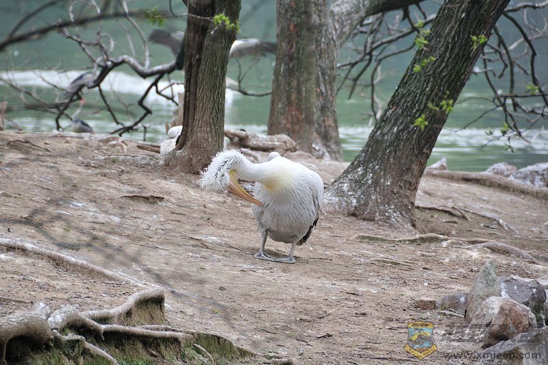 DSC_3348.jpg
