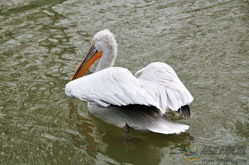 DSC_3357.jpg