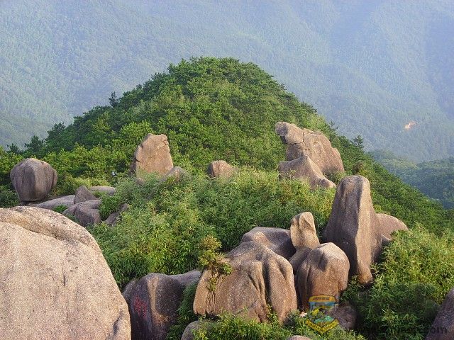 img093.jpg
