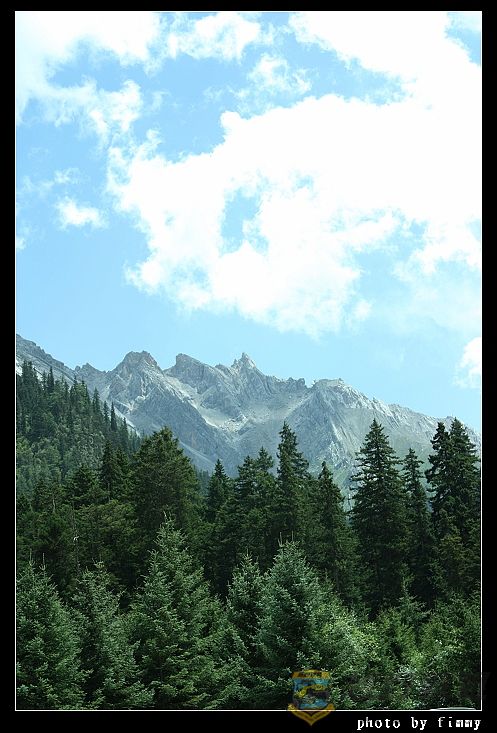 IMG_4347.jpg