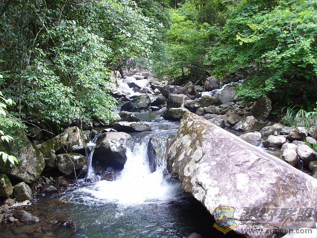 img158.jpg