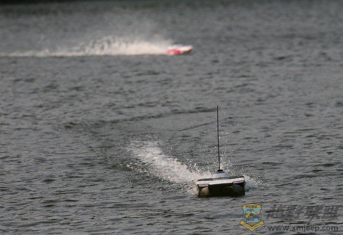 IMG_3239.jpg