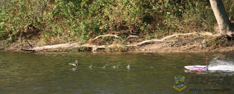 IMG_3374.jpg