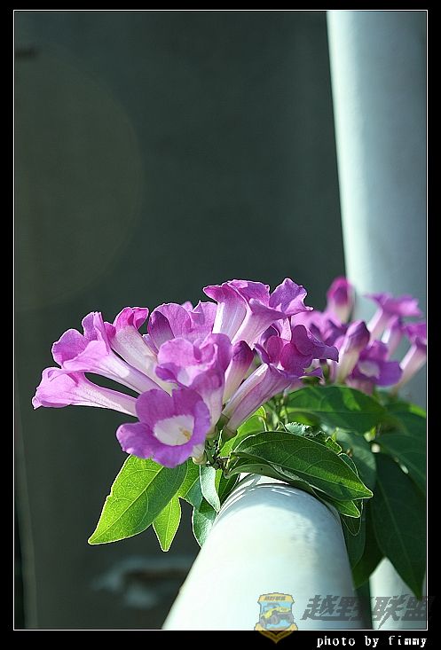 IMG_6563.JPG