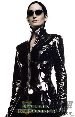fp2765~The-Matrix-Reloaded-Posters.jpg