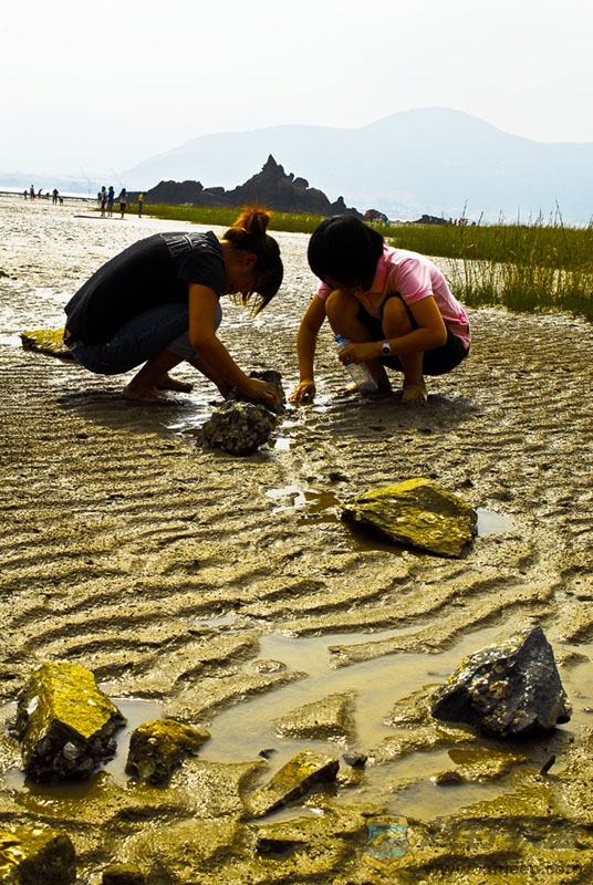 海门_5287.jpg
