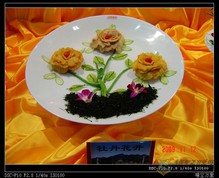 DSC01147a.jpg