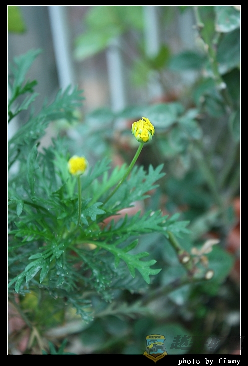 IMG_6649.JPG