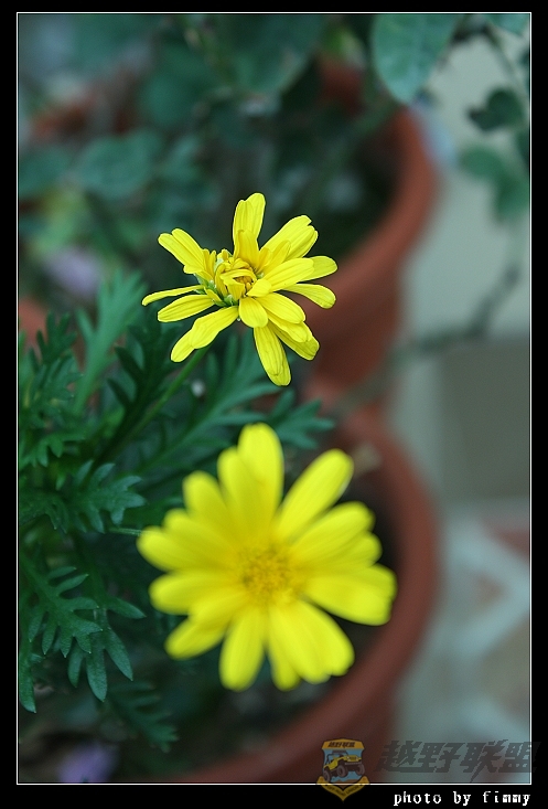 IMG_6669.JPG