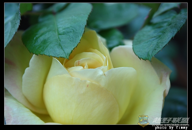 IMG_6695.JPG