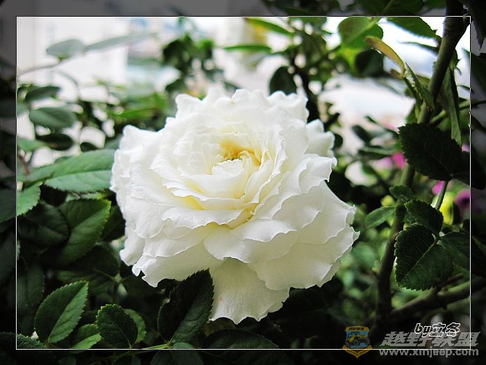nEO_IMG_IMG_0035.jpg