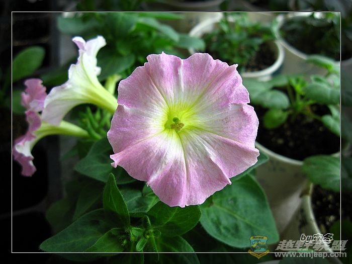 nEO_IMG_IMG_0172.jpg