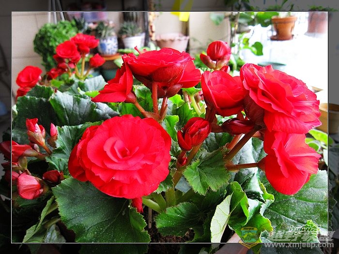 nEO_IMG_IMG_0041.jpg
