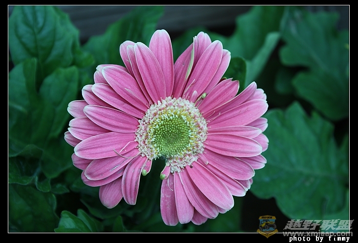 IMG_6863.JPG