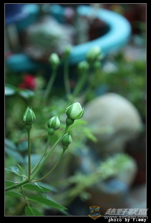 IMG_6873.JPG