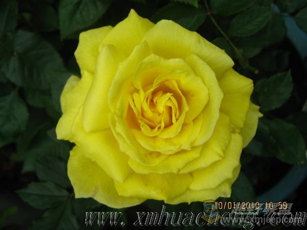 nEO_IMG_IMG_0004.jpg