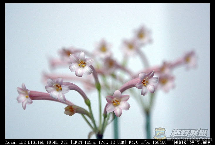 IMG_7039a.jpg