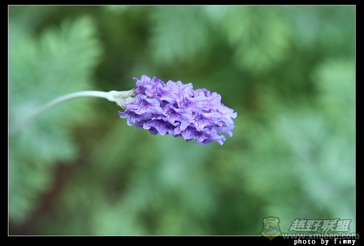 IMG_7142.JPG