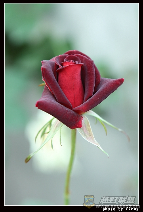 IMG_7199a.jpg