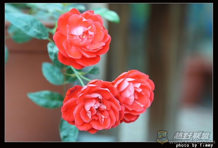 IMG_7184.JPG