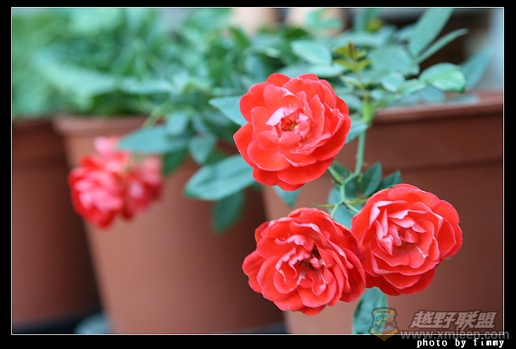 IMG_7186.JPG