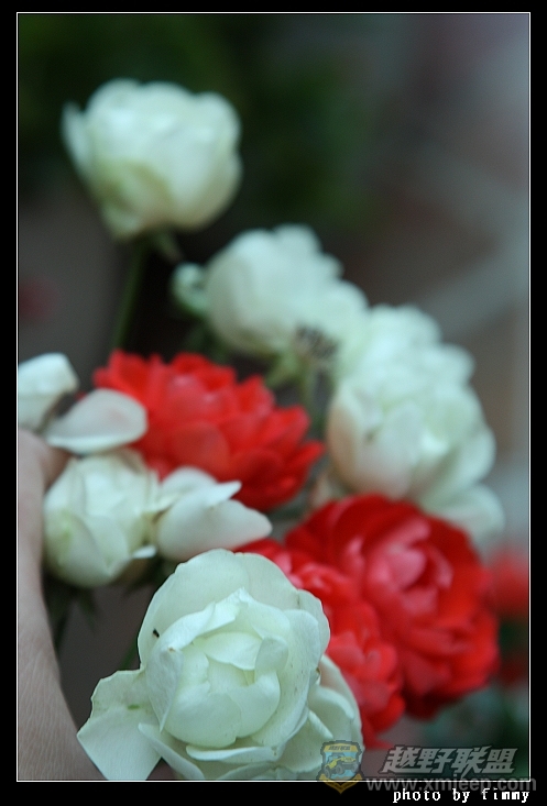 IMG_7225.JPG