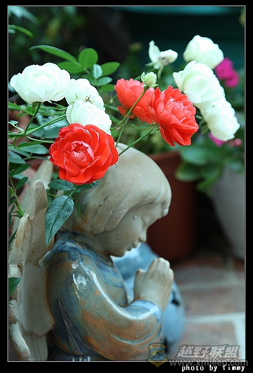 IMG_7230a.jpg
