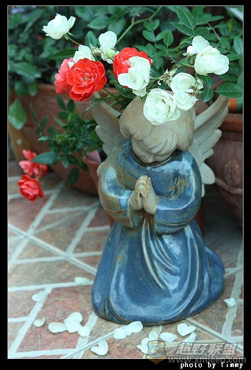 IMG_7231a.jpg