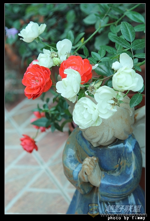 IMG_7240.JPG