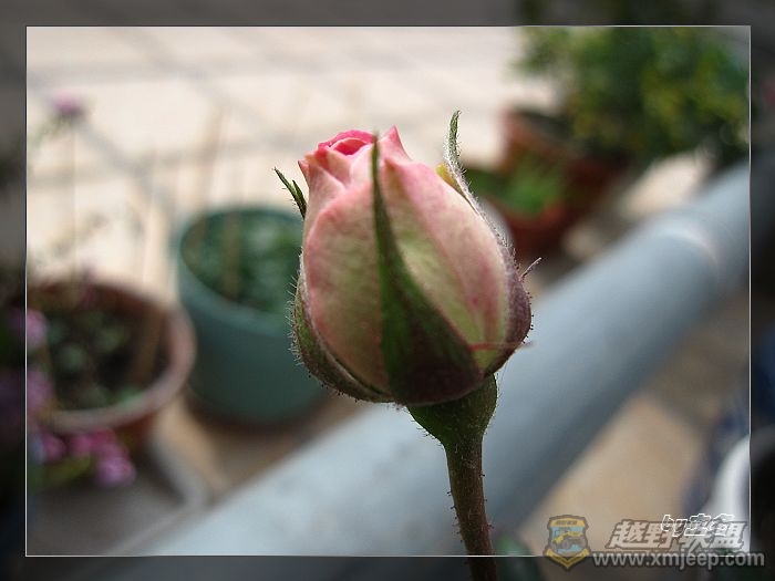 nEO_IMG_IMG_0352.jpg