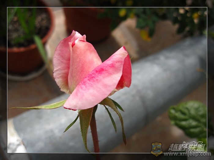 nEO_IMG_IMG_0353.jpg