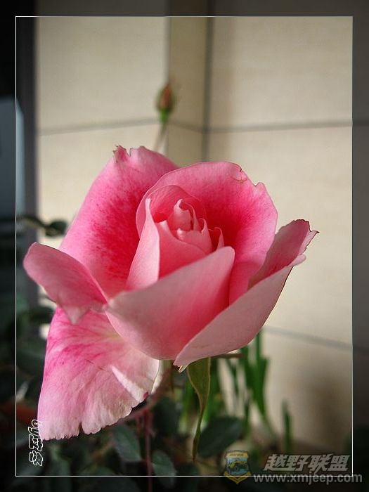 nEO_IMG_IMG_0366.jpg