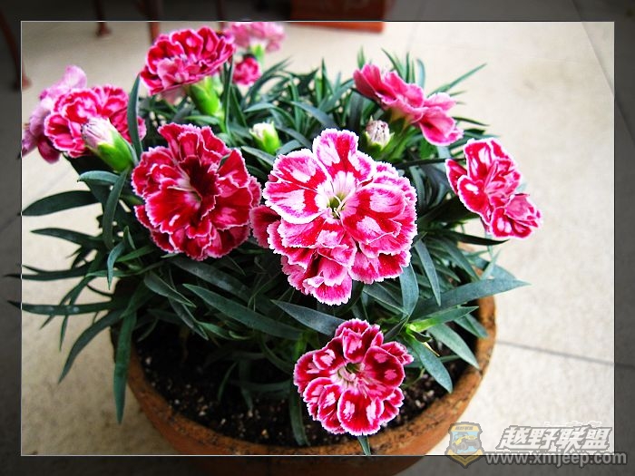 nEO_IMG_IMG_0536.jpg