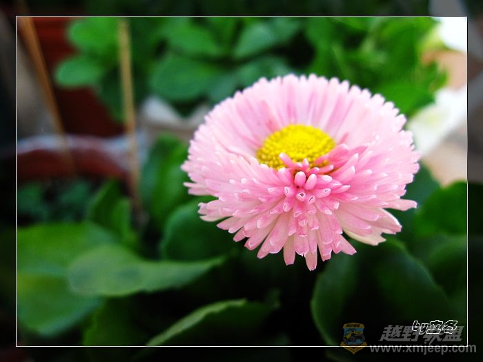 nEO_IMG_IMG_0574.jpg