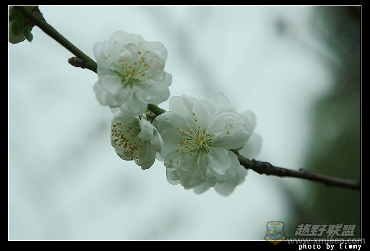 IMG_7432.jpg