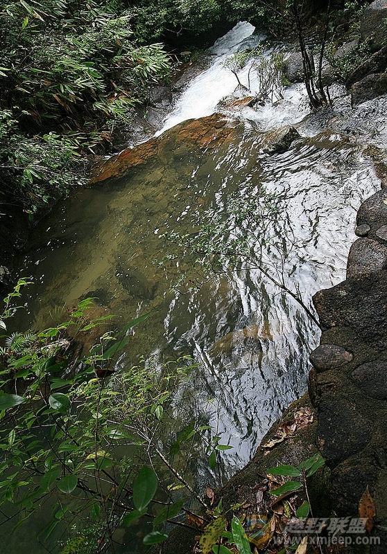 IMG_4639.jpg