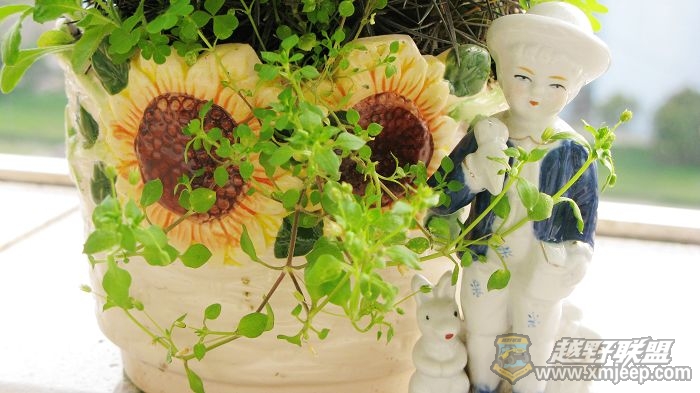 Ƭ 025.jpg