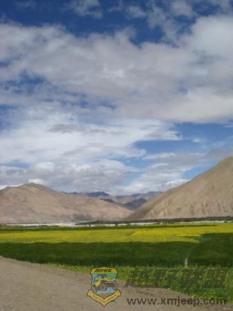 DSC00779-1.JPG