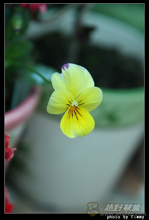 IMG_7577.JPG