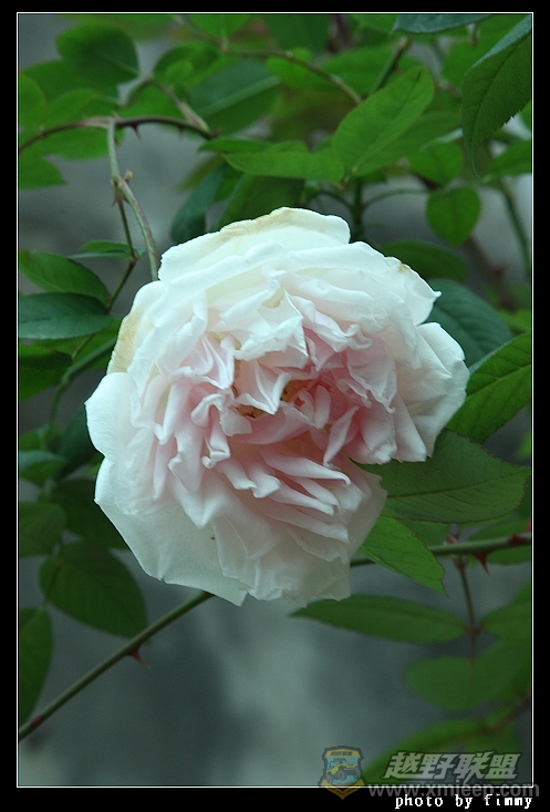 IMG_7524.JPG