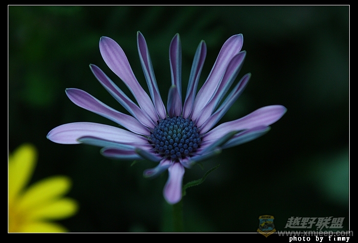 IMG_7539b.jpg
