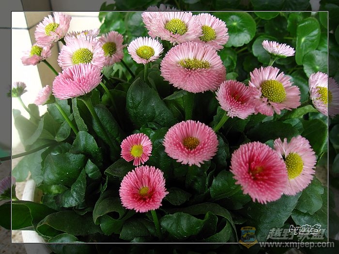 nEO_IMG_IMG_0711.jpg