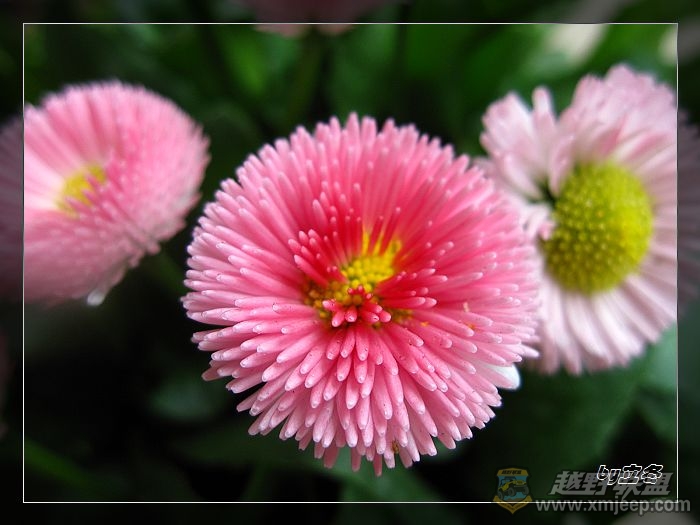 nEO_IMG_IMG_0716.jpg