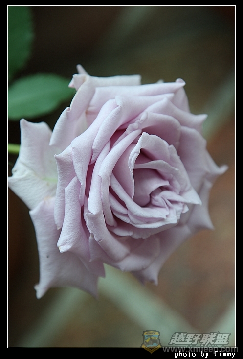 IMG_7676.JPG