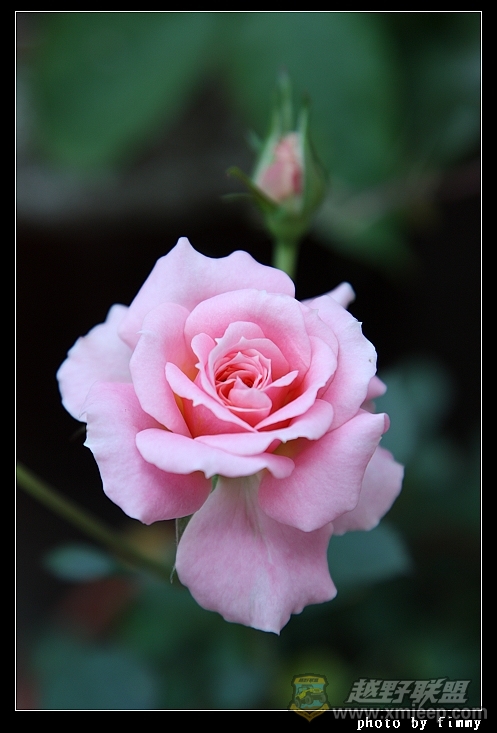 IMG_7653a.jpg