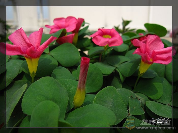 nEO_IMG_IMG_0798.jpg